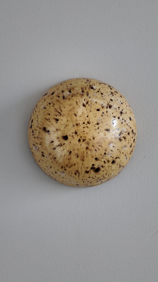 15. Spotted Walnut