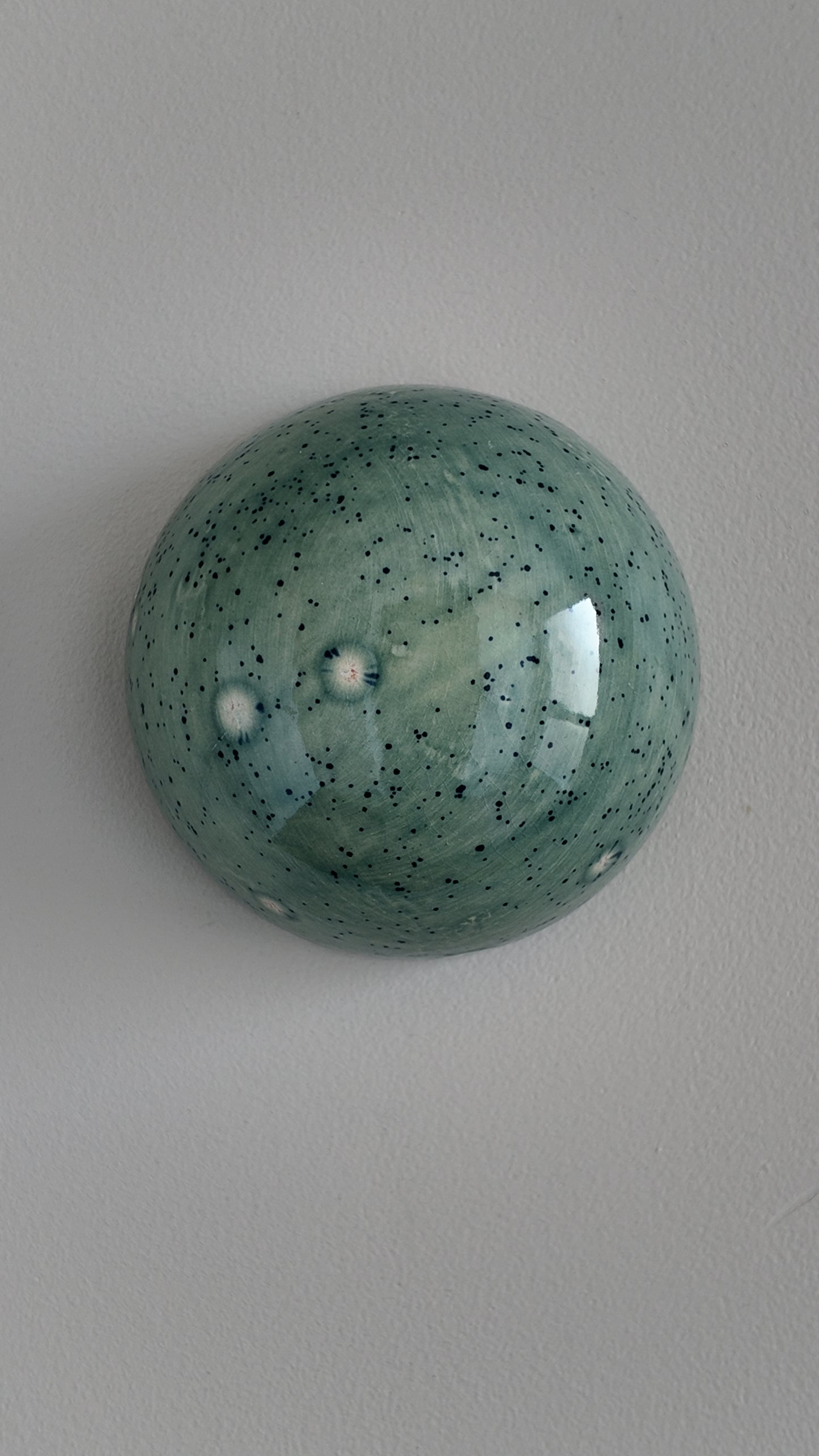 51. Blooming Blue