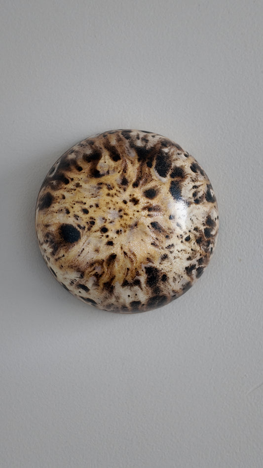 83. Spotted Walnut